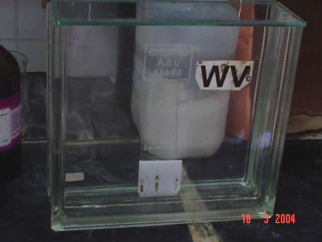 Preparação da cuba A placa deve ser colocada, rapidamente ( para evitar evaporação) e verticalmente, após s aplicadas as amostras, numa cuba de vidro contendo a fase móvel m desejada.