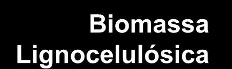 Conversão de Biomassa Biomassa Lignocelulósica Hidrólise/ Fermentação