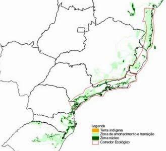 Reserva da Biosfera da Mata Atlântica/ R.