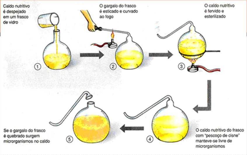 Os experimentos de Pasteur estão descritos e esquematizados na