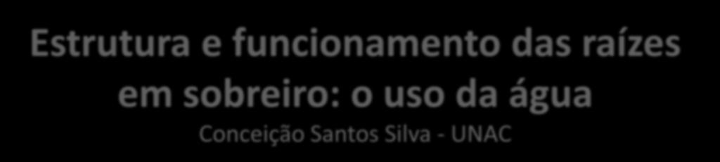 Workshop Gestão de Sobcoberto em Montado: Opções,