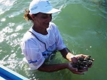 no Estado, em Fortim, CE 75 marisqueiras filiadas a Colônia de