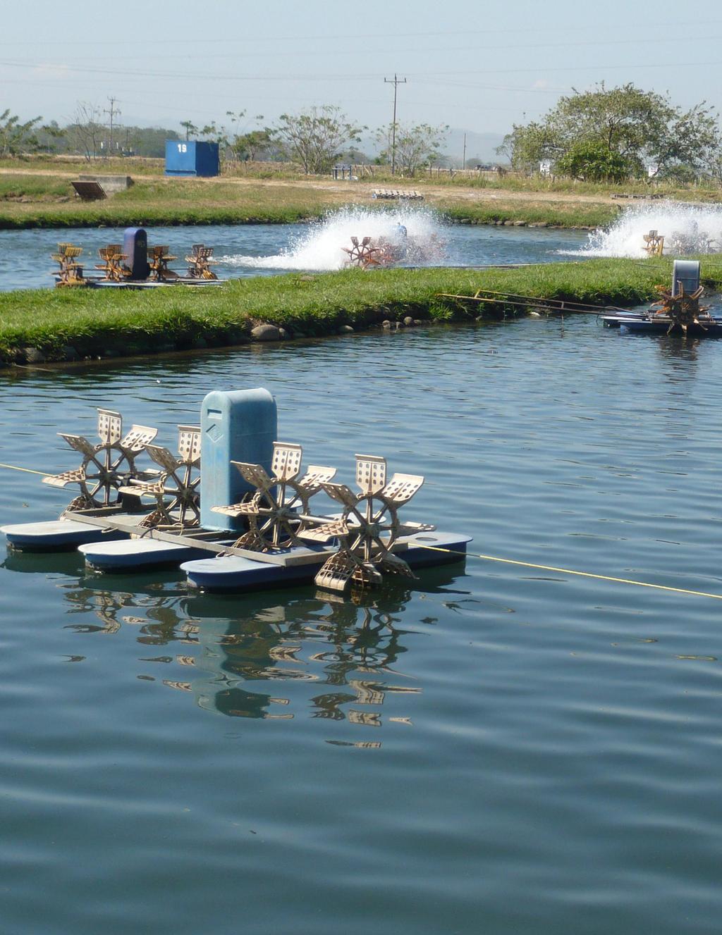 ÍNDICE LONGLINE ENVIRONMENT 3 POND AQUACULTURE MANAGEMENT AND DEVELOPMENT 3 POND