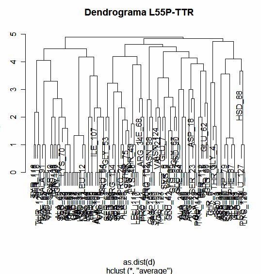 B3 - Partição consenso da L55P-TTR Figura 65 - Dendrograma L55P-TTR Classificação obtida com um corte do dendrograma em h=4.