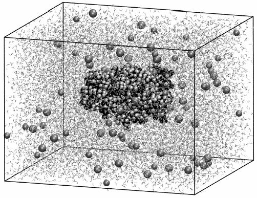 Fonte: Brito (2004) Figura 22 - Representação do sistema usado nas simulações de Dinâmica Molecular O sistema foi elevado até à temperatura desejada sob a dinâmica de Langevin (dinâmica que tenta