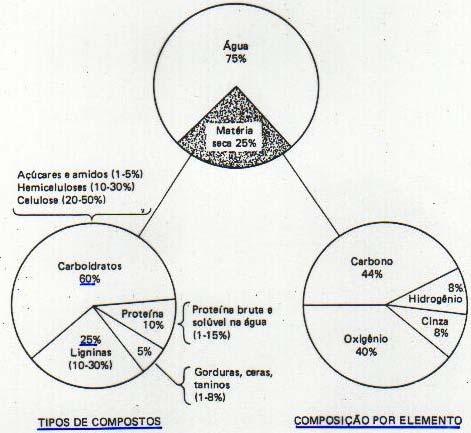 Composição dos materiais