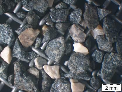 Figura 4: Observação microscópica da areia calcária A areia de granito, da zona de Castelo de Vide, apresenta cor cinza; caracteriza-se por um grão