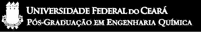 PÚBLICO ALVO Poderão inscrever-se portadores de diplomas de graduação em Engenharia Química e áreas afins.