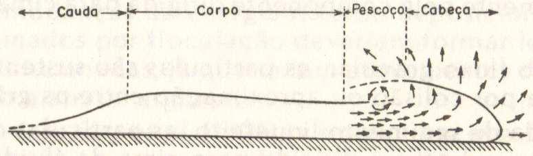 abissais. Nestas regiões, normalmente, ocorre apenas sedimentação pelágica, exceto quando há um fluxo turbidítico que carrega partículas mais grossas (areia) (Alveirinho Dias, 2004).