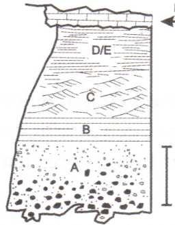 TURBIDITO CLÁSSICO DA SEQUÊNCIA DE BOUMA (1962) Hemipelagito 10cm Figura 13: Evento de sedimentação episódica ligado à fluxos turbulentos.