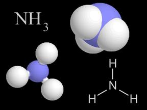 _ LIGAÇÕES COVALENTES Estrutura de Lewis para moléculas de Amônia NH 3 - O átomo de N é o átomo central.
