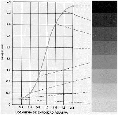 Propriedades e características da imagem radiográfica - Curva