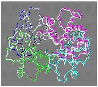 Proteínas homologas compartilham um núcleo estruturalmente conservado, mesmo em proteínas com homologia distante, composto