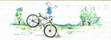 Inércia A ilustração a seguir mostra um ciclista descuidado que bateu em uma pedra: a bicicleta parou bruscamente e ele foi arremessado para a frente.