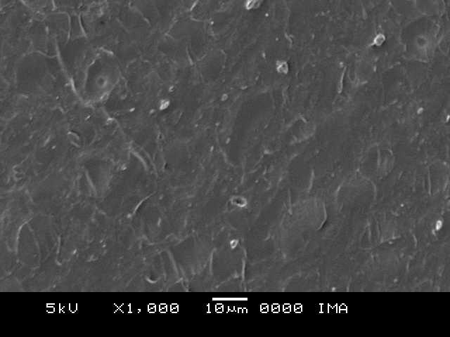 a b Figura 109: Micrografias obtidas por SEM para compósitos de amido/argila MMT Na + com 11,65% de argila e 25% de glicerol após processamento em extrusora monorosca : (a) ampliação de 500 vezes,
