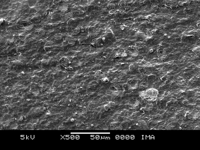 167 a b Figura 110: Micrografias obtidas por SEM para compósitos de amido/argila MMT Ca 2+ com 11,65% de argila e 25% de glicerol após processamento em extrusora mono-rosca; (a) ampliação de 500