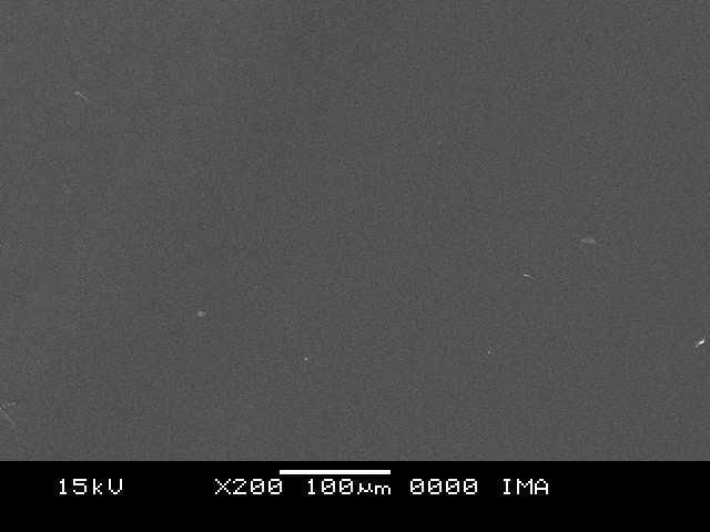 a b Figura 115: Micrografia obtida por SEM para compósitos de amido/argila MMT Ca 2+ com 4% de