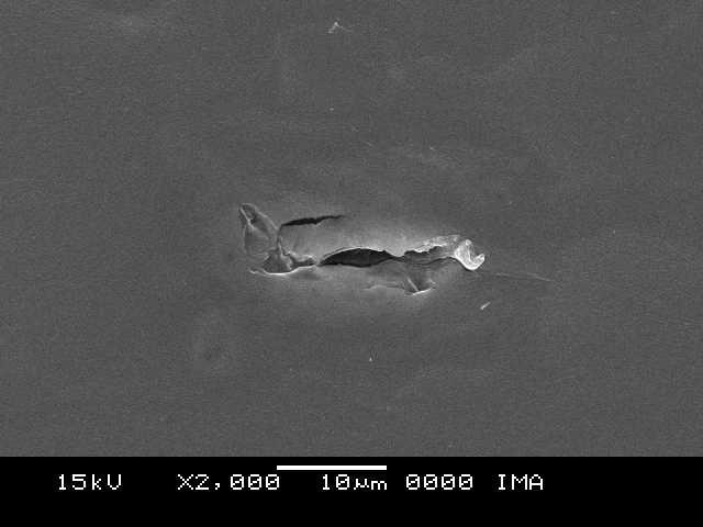 172 c Figura 116: Micrografia obtida por SEM para compósitos de amido/argila Cloisite 30B após processamento em extrusora dupla-rosca com aumento de 2000 vezes: (a) 2%, (b) 4% e (c) 6% de argila com