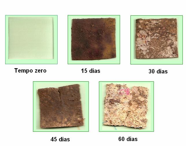 187 Figura 128: Fotografias de filmes do compósito de amido e argila Cloisite 30B com 0,34% de argila e 25 % de glicerol nos tempos zero e após o inicio da biodegração nos tempos de 15, 30, 45, 60