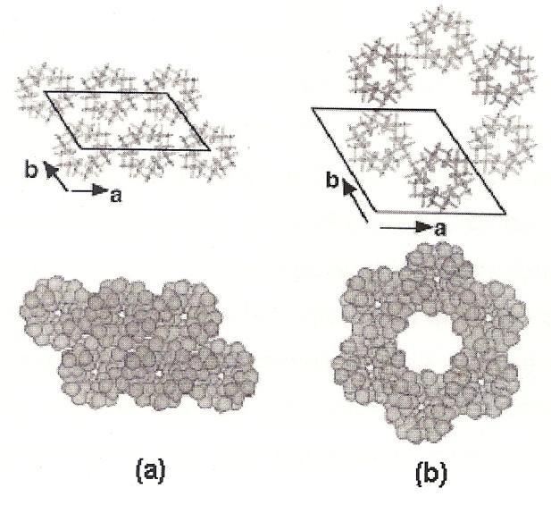10 Figura 5: Empacotamento cristalino em hélice dupla em amilose com cristalinidade do tipo A (a) e do tipo B (b) (BULÉON et al.