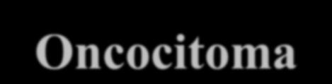 Oncocitoma renal x