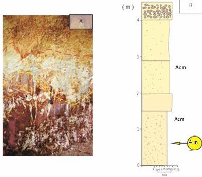 PERCILIO, BERGAMASCHI, BERTOLINO, p. 7-20 16 Figura 13: Afloramento da fácies ACm. Correspondente ao canal fluvial conglomerático do Grupo Itambí.