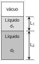 8) Um tubo fechado contém dois líquidos não miscíveis de densidades d 1 e d 2. Na parte superior é feito vácuo.