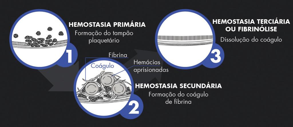 138 sic hematologia 1.