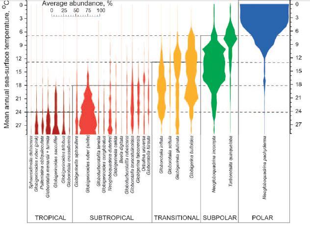 Espécies com simbiontes dependem da luz e são restritos à zona eufótica (SCHIEBEL; HEMBELEN, 2005).