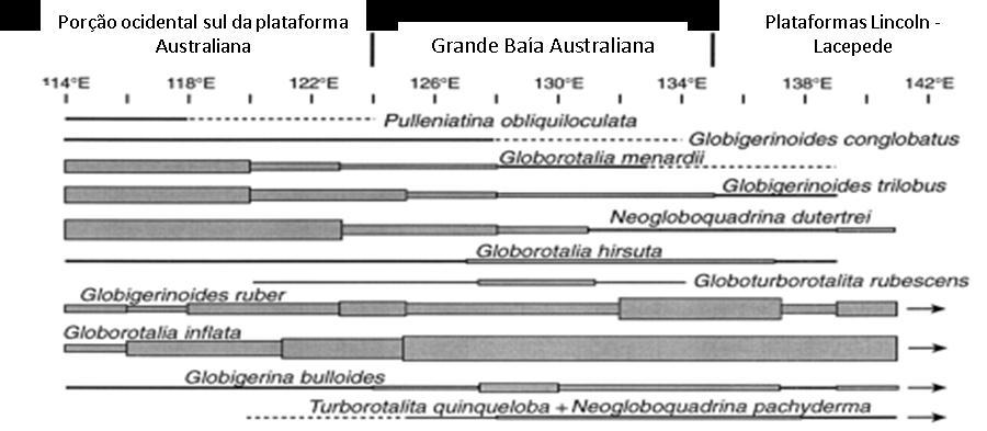 20 marinhos antigos (JORISSEN; ROHLING, 2000; NAGAI et al., 2009). Muito utilizados em paleoceanografia, pois são vistos como "impressões digitais" das massas de água em que vivem.