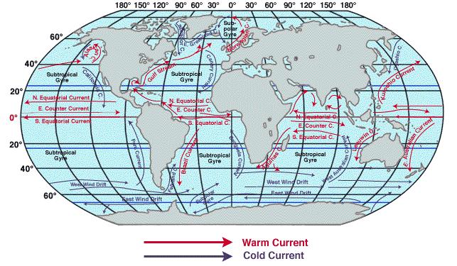 28 4 ÁREA DE ESTUDO 4.1 CARACTERÍSTICAS GERAIS Existem seis grandes circuitos de correntes no oceano global, dois no Hemisfério Norte e quatro no Sul (GARISSON, 2010).