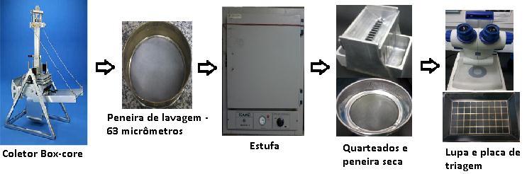 38 Paleoceanografia (LOOP), no Departamento de Geoquímica da Universidade Federal Fluminense. Após o procedimento de lavagem deu-se início a triagem.