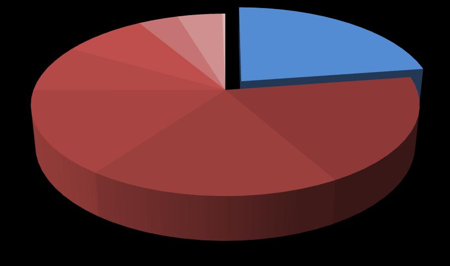 Mortes Maternas no Brasil (DATASUS, 2007) 8% 0% 0% 0% 4% 4% 23% Edema proteinúria transiente hipertensão gravidez parto puerpério Outras afecções obstétricas NCOP