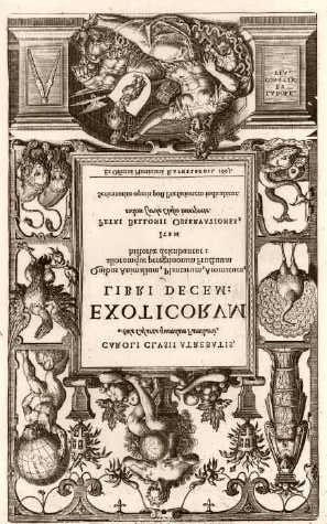 Figura 3. L'ECLUSE, Charles de (1526-1609). "Caroli Clusii.
