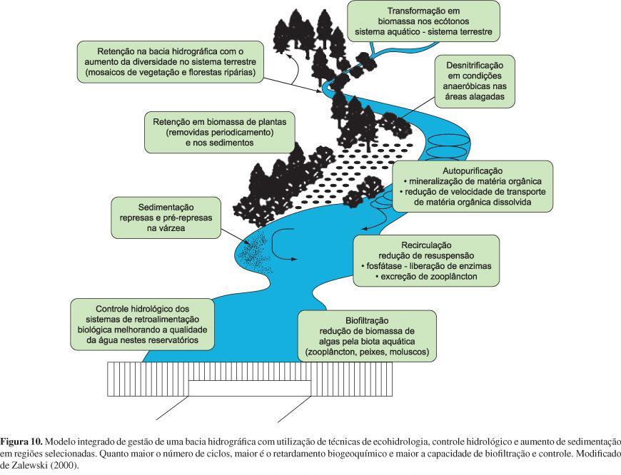 Do CO2 ao O2 agir em