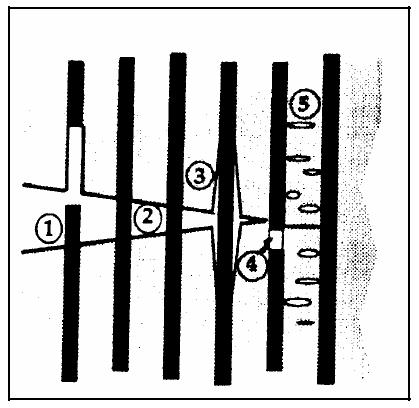 166 pull-out. Destes, o mecanismo de pull-out pode ser destacado por ser um importante mecanismo de concentração/dissipação de energia no compósito reforçado com fibras (RAZERA, 26).