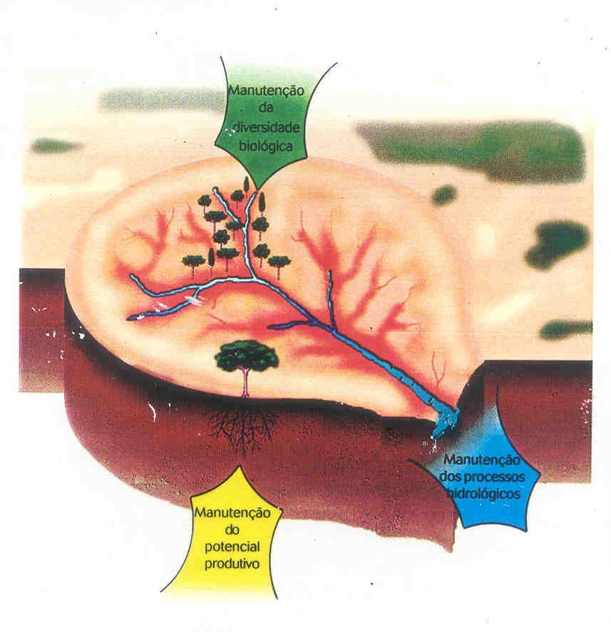 biodiversidade (mata ciliar, zonas ripárias, reservas de vegetação natural, etc.