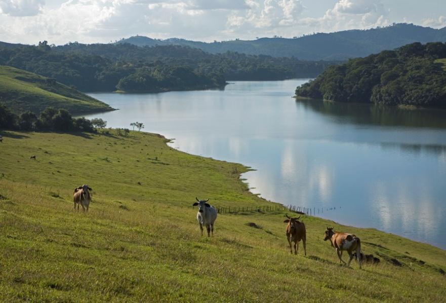 Mecanismos para determinação dos valores de PSA Custo de Reposição QUANTO CUSTA PARA