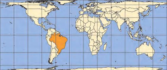 cada uma priorizando determinado aspecto da representação (dimensão, forma, etc.).