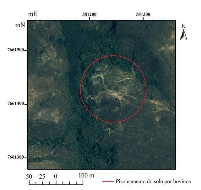 Figura 13: Área de pisoteamento de solo por bovinos e na bacia do Córrego do Júlio (Imagem do Satélite Ikones, ano de 2008) 6.