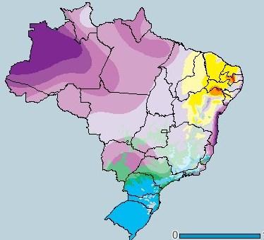 PRESSÃO ANTRÓPICA Pressão antrópica (*) Novos empreendimentos! AP 2 hab.km -2 MA 29 hab.km -2 CE 252 hab.