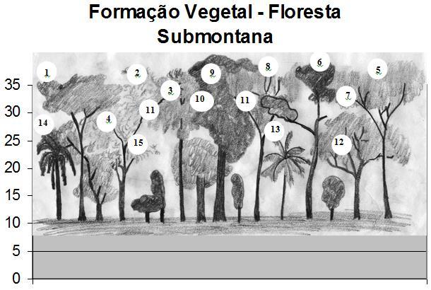24 denominado de Floresta Estacional Decidual Submontana, ou conhecida por Floresta Subtropical de Baixa Altitude.