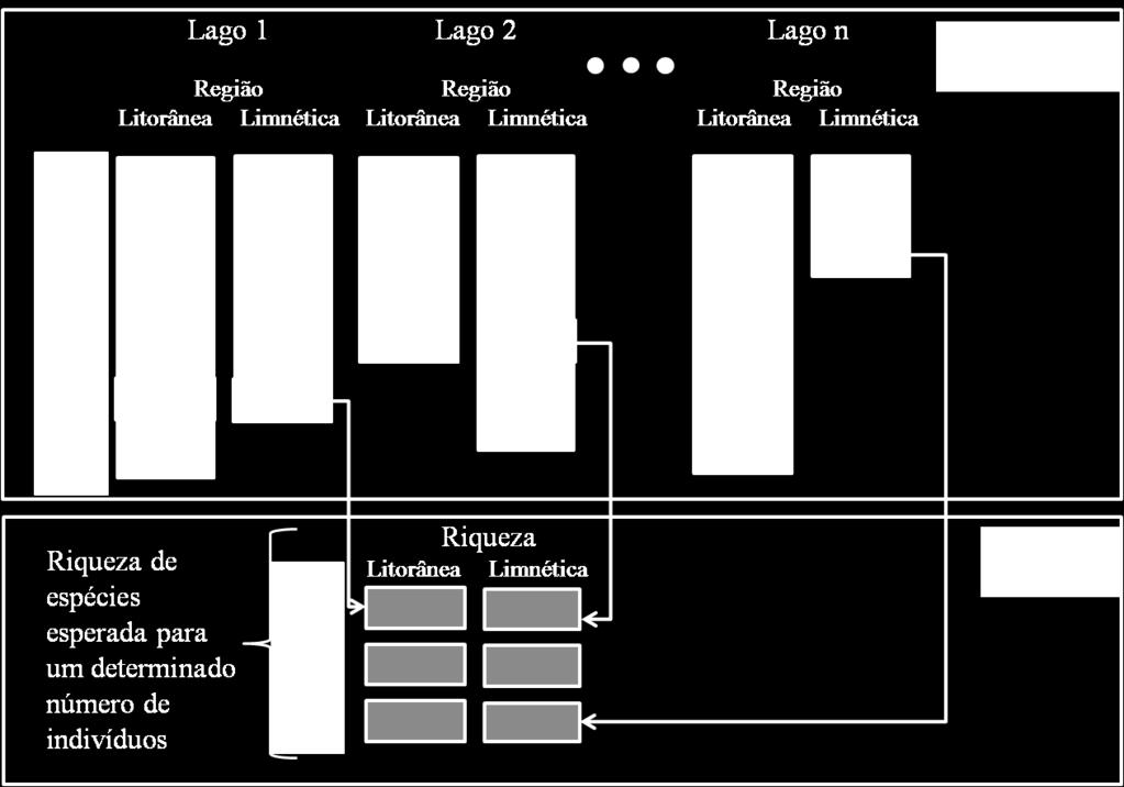 Ademais, uma análise de espécies indicadoras (Dufrene & Legendre, 1997) foi utilizada para verificar a existência de espécies indicadoras das regiões litorâneas e limnéticas.