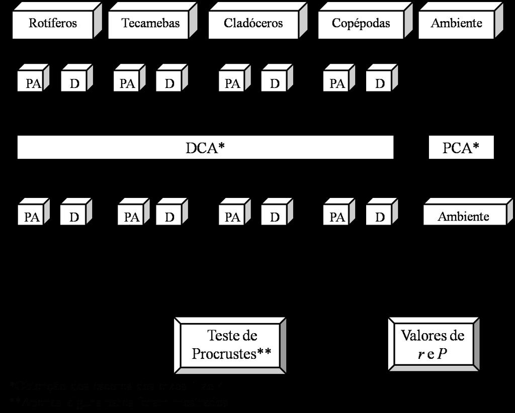 Figura 7.2 Fluxograma com as principais etapas utilizadas para realizar a Análise de Procrustes.