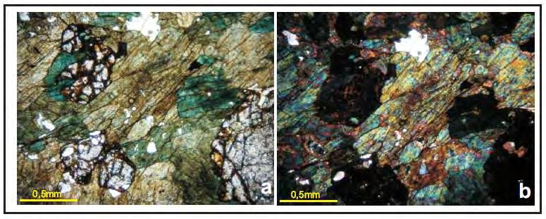 Anfibólio xisto A litologia possui granulometria média a fina e sua coloração varia de verde a verde escuro, com estrutura maciça e textura nematoblástica.