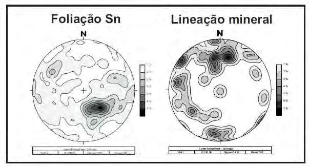 bibliografia, assim possibilitando a interpretação dos principais eventos de deformação ocorridos na área pesquisada.