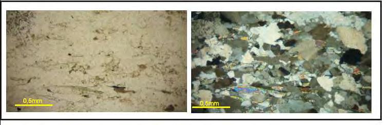 qual foram identificados quartzo, muscovita. Os cristais de quartzo se encontram recristalizados, os grãos não estão orientados.