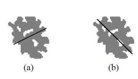 lateralmente (adjacentes por aresta), não considerando os quatro pixels diagonalmente adjacentes. Figura 2.22 Conectividade (imagens 2D).