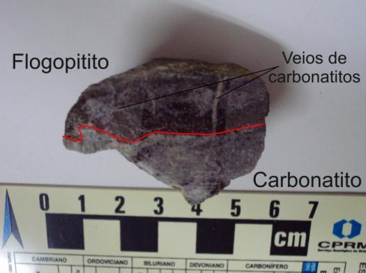 B - Contato entre o carbonatito e o flogopitito, mostrando os veios de carbonatito