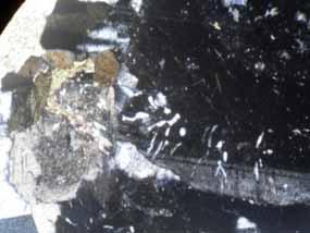 Os cristais de quartzo apresentam-se anédricos com extinção ondulante bem desenvolvida. Trata-se de um diatexito, ou seja, um migmatito homogêneo ainda com aspecto de granitóide.